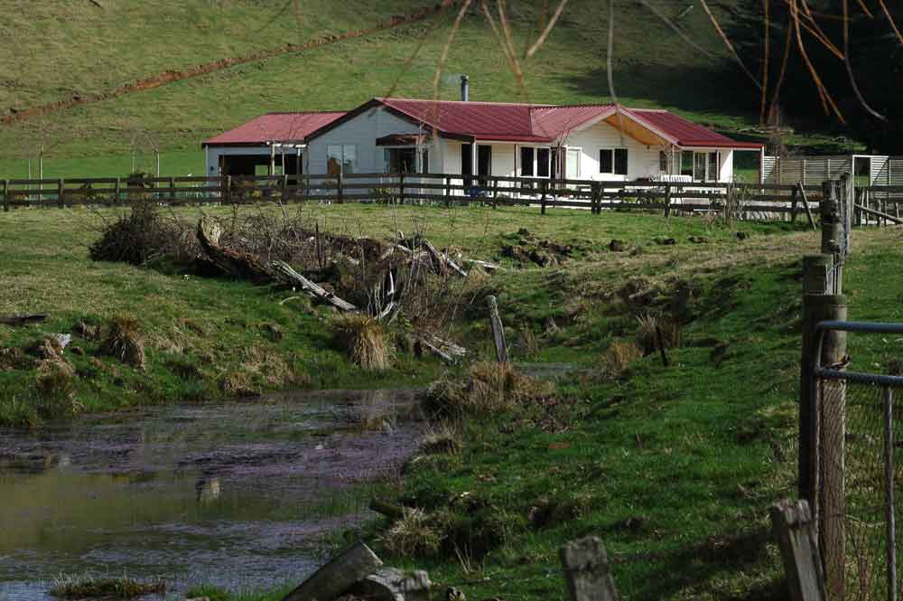 96 - Nueva Zelanda, paisaje